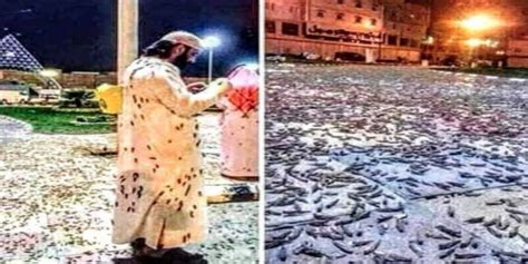 cockroach in mecca|Roaches swarm Islam’s holiest sites in Mecca .